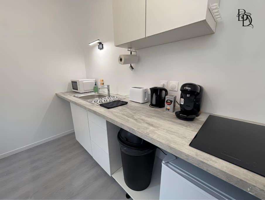 T1 Bis Appartement B3 30M2 Cosy 7Min A Pieds Des Gares Roanne Exterior foto
