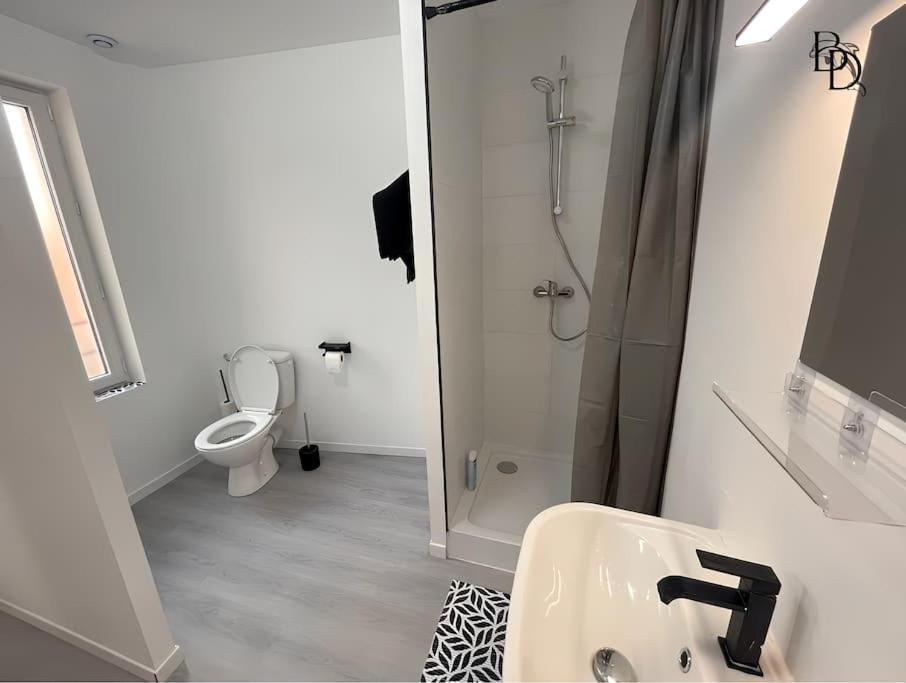 T1 Bis Appartement B3 30M2 Cosy 7Min A Pieds Des Gares Roanne Exterior foto
